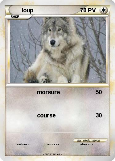 Pokemon loup