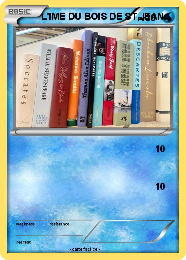 Pokemon L'IME DU BOIS DE ST JEAN