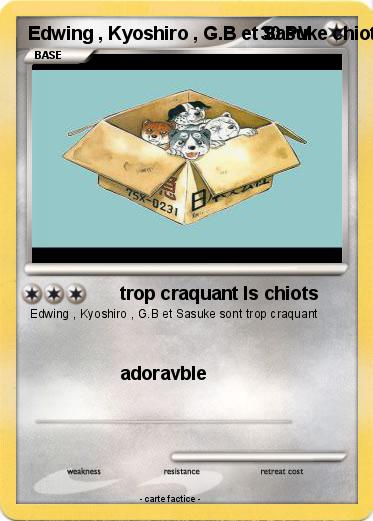 Pokemon Edwing , Kyoshiro , G.B et Sasuke chiots