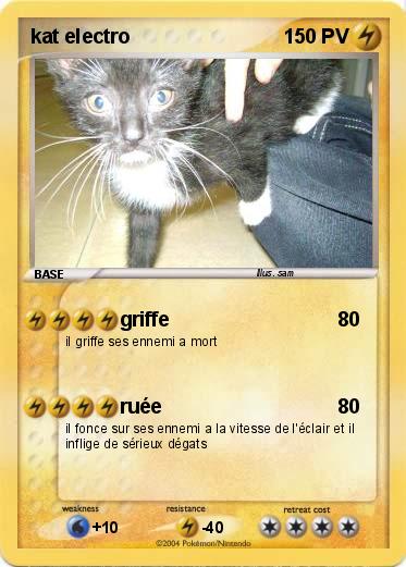 Pokemon kat electro