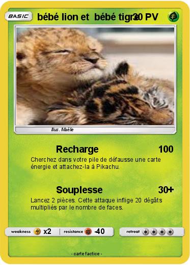 Pokemon bébé lion et  bébé tigre