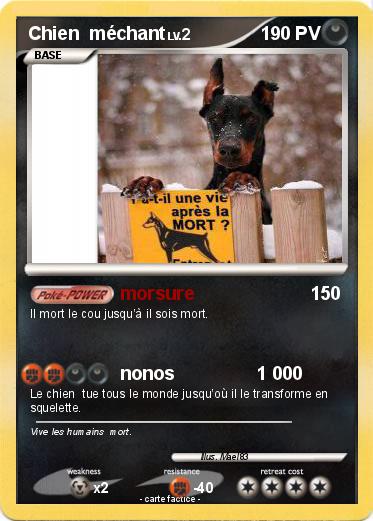 Pokemon Chien  méchant