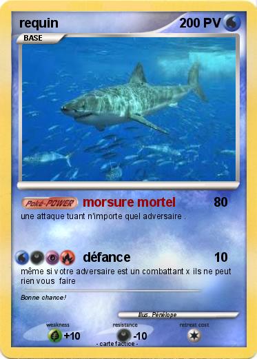 Pokemon requin