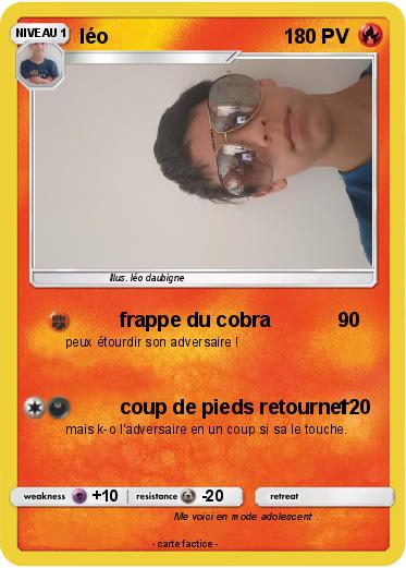 Pokemon léo