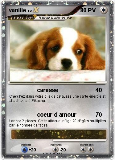 Pokemon vanille