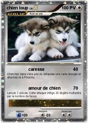 Pokemon chien loup