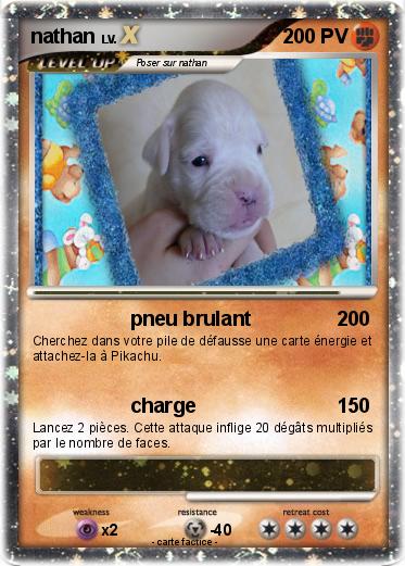 Pokemon nathan