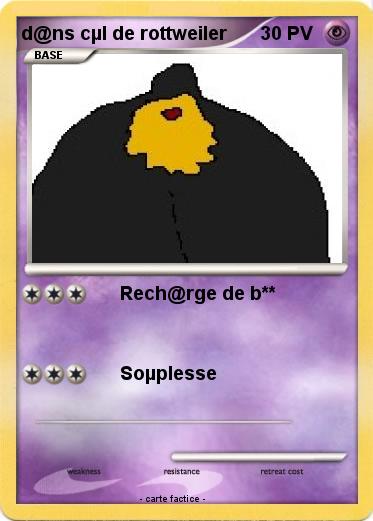Pokemon d@ns cµl de rottweiler