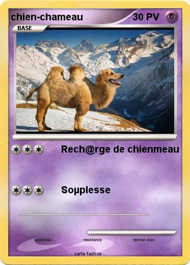 Pokemon chien-chameau
