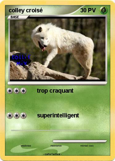 Pokemon colley croisé