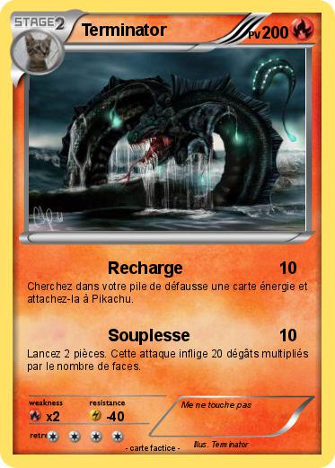 Pokemon Terminator