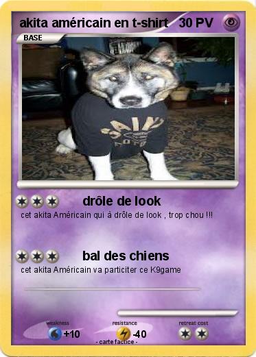Pokemon akita américain en t-shirt