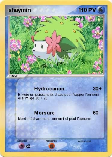 Pokemon shaymin
