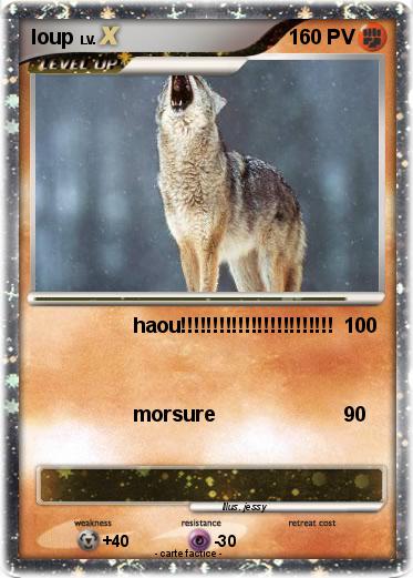 Pokemon loup