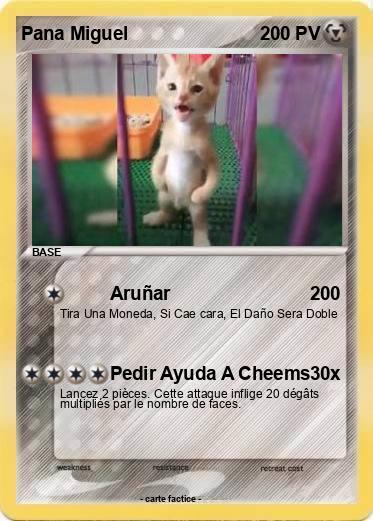 Pokemon Pana Miguel