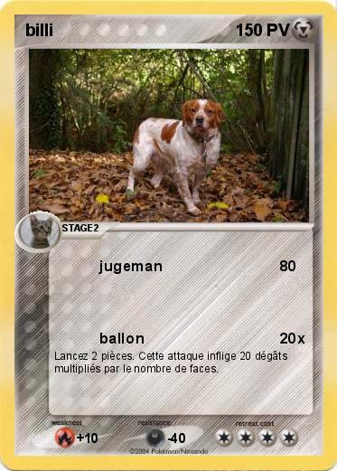 Pokemon billi