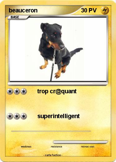 Pokemon beauceron