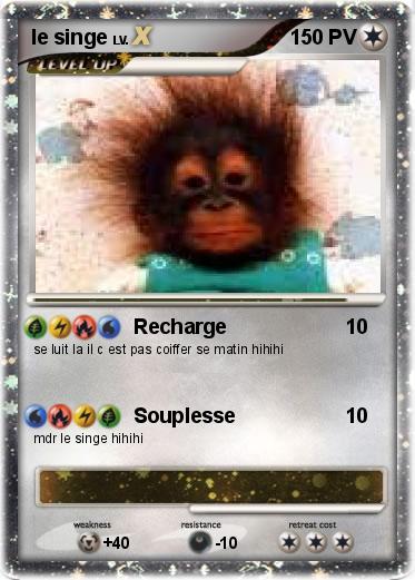 Pokemon le singe