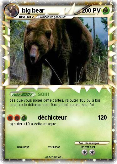 Pokemon big bear