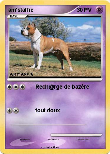 Pokemon am'staffie