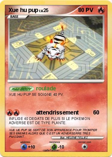 Pokemon Xue hu pup