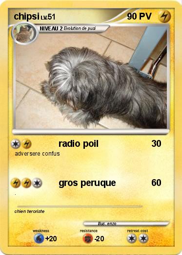 Pokemon chipsi
