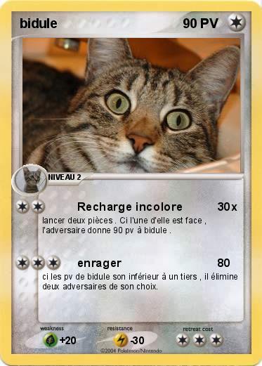 Pokemon bidule