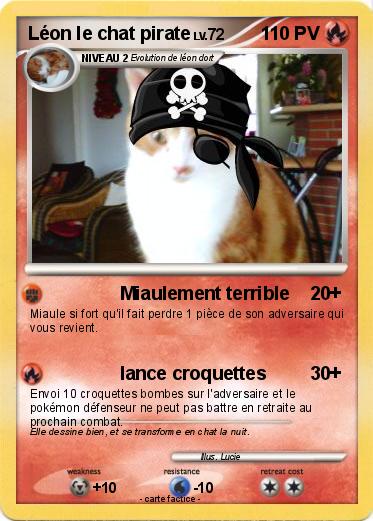 Pokemon Léon le chat pirate