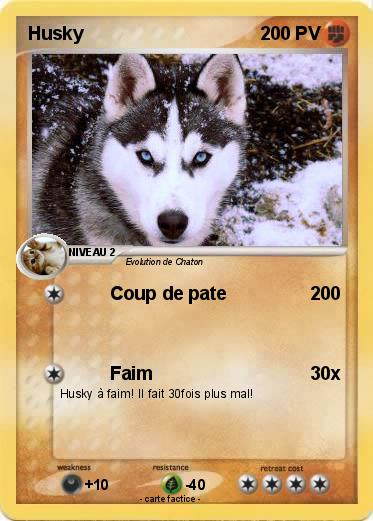 Pokemon Husky
