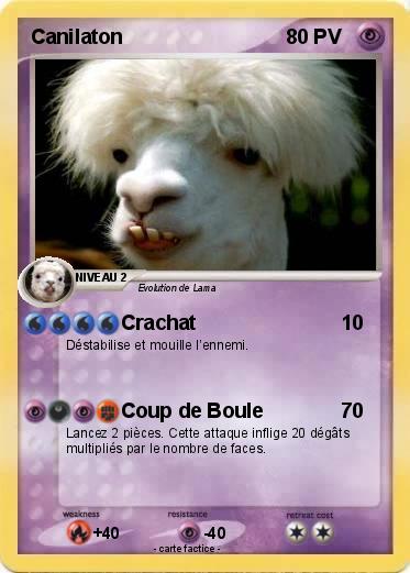 Pokemon Canilaton