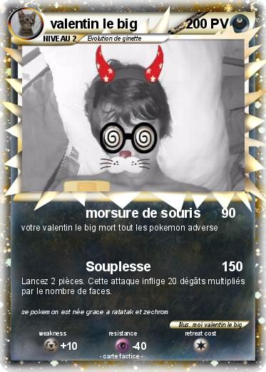 Pokemon valentin le big