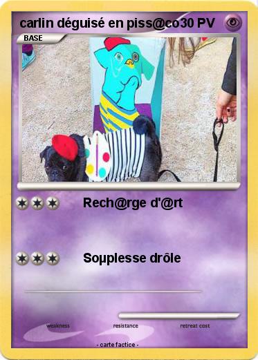Pokemon carlin déguisé en piss@co