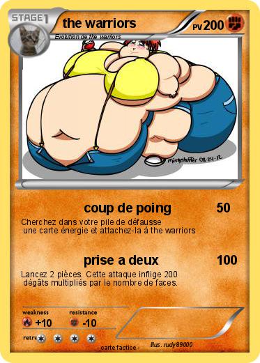 Pokemon the warriors