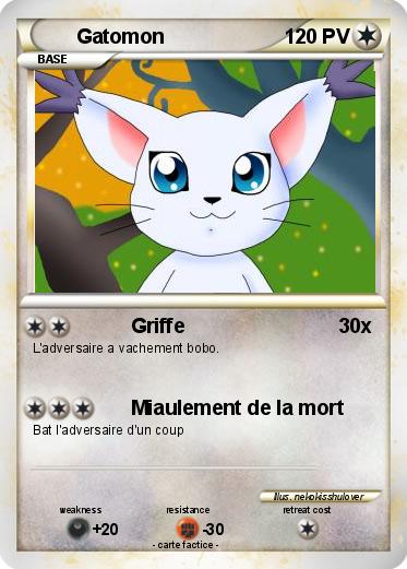 Pokemon Gatomon