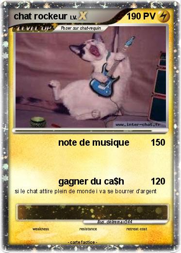 Pokemon chat rockeur