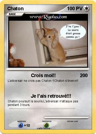Pokemon Chaton