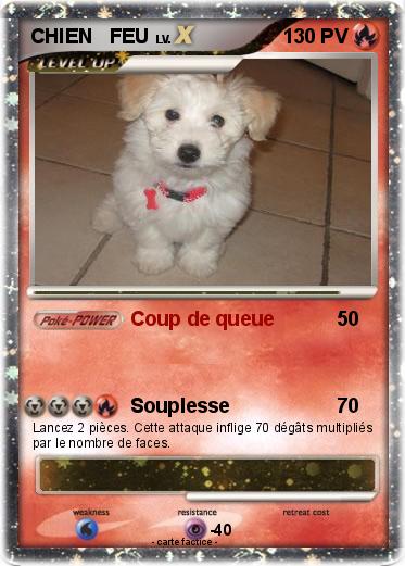 Pokemon CHIEN   FEU