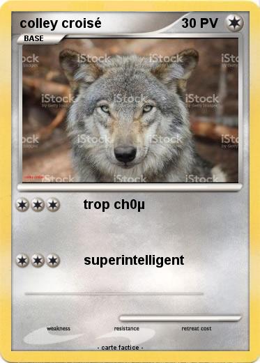 Pokemon colley croisé