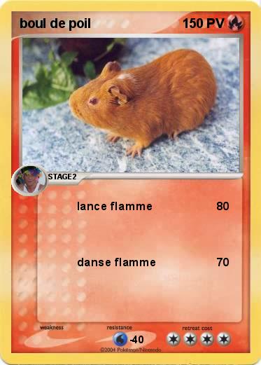 Pokemon boul de poil