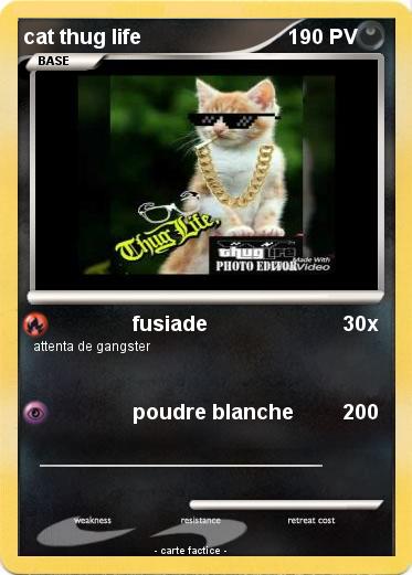 Pokemon cat thug life