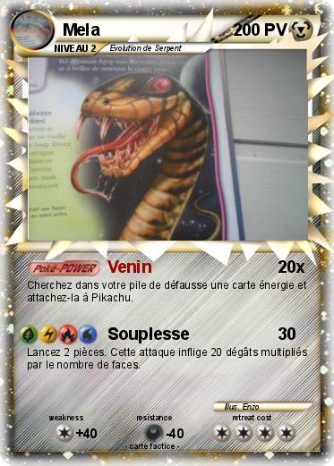 Pokemon Mela