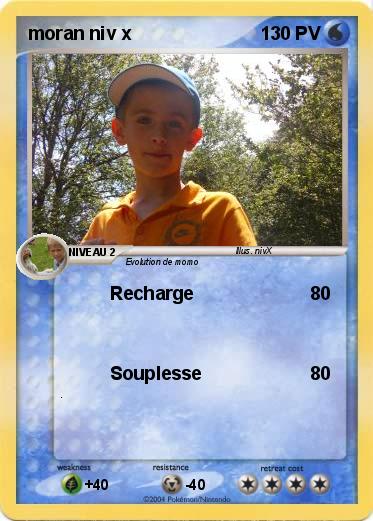 Pokemon moran niv x