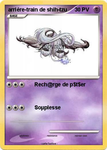 Pokemon arrière-train de shih-tzu