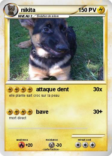 Pokemon nikita