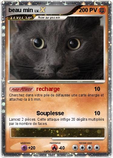 Pokemon beau min