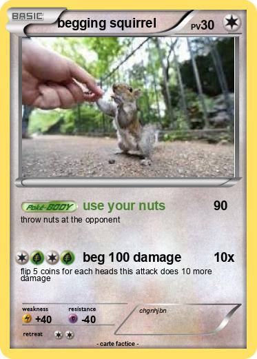 Pokemon begging squirrel