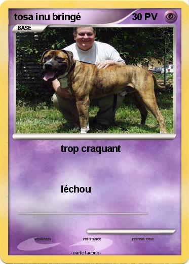 Pokemon tosa inu bringé