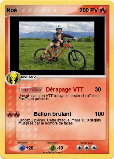 Pokemon Noé