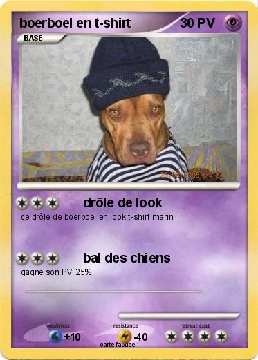 Pokemon boerboel en t-shirt