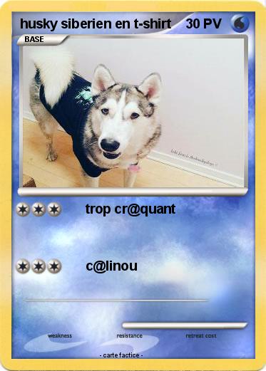 Pokemon husky siberien en t-shirt